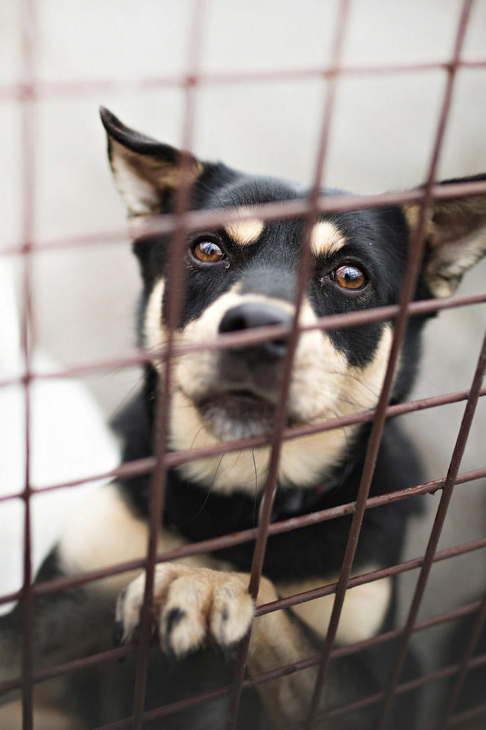 南师大传奇鸳鸯：已婚副院长宋海亮和女博士汪慧香的传奇故事！