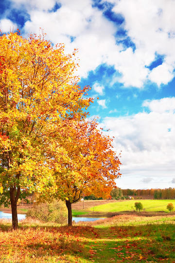 中美经贸谈判怎么谈