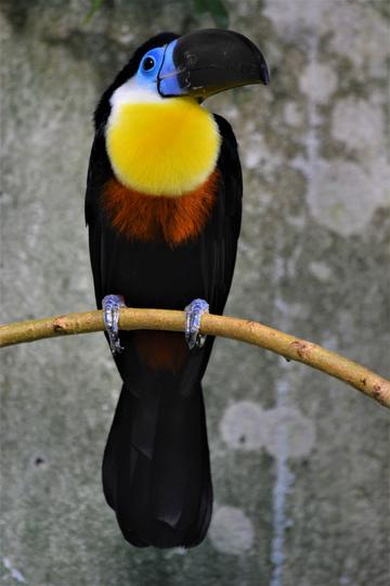 娄底市召开领导干部会议 宣布省委有关人事安排的决定