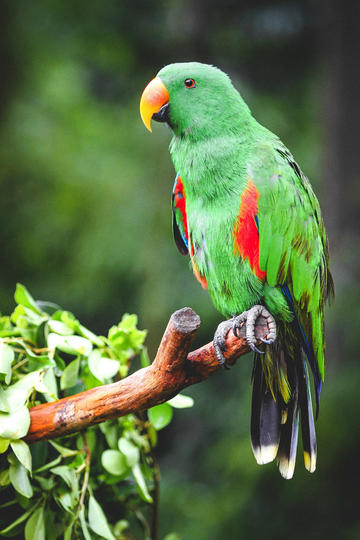 职场中总觉得自己「没准备好」，是不是浪费机会的「假想敌」？