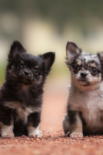 有没有哪一刻，脑子「轰」的一下就清醒了?