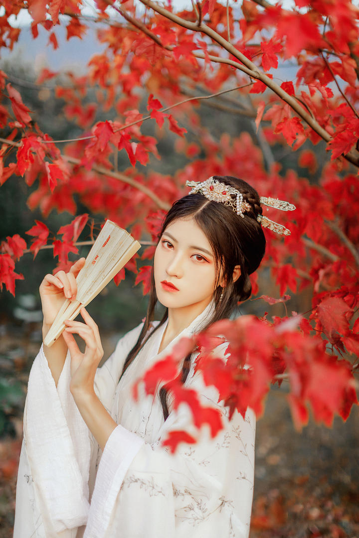 《哪吒2》：看懂无量仙翁金仙大会拿出9000枚仙丹，申公豹100年才攒6枚！我才知为何无量仙翁敢屠陈塘关拿龙族炼丹却放过太乙真人