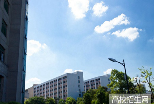 浙江大学城市学院图片