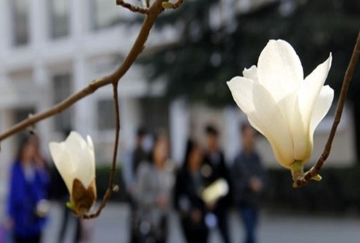 郑州黄河护理职业学院图片