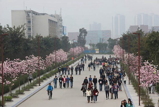 十堰市医药卫生学校图片