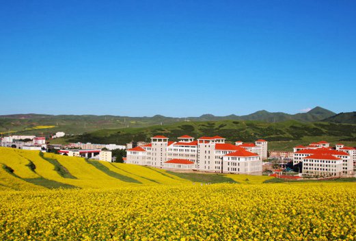 甘肃民族师范学院教育科学系图片