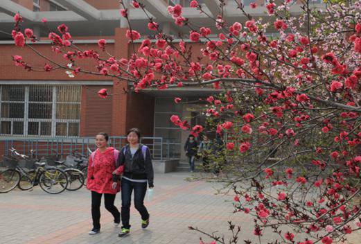 郑州澍青医学高等专科学校图片