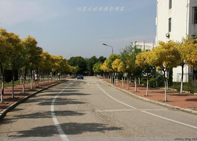 å­¦æ ¡é£æ¯