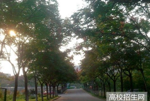 贵州民族大学图片