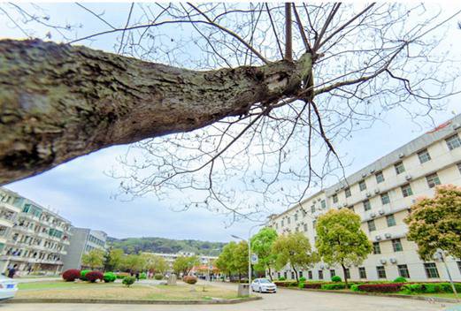 湖北黄冈技师学院图片