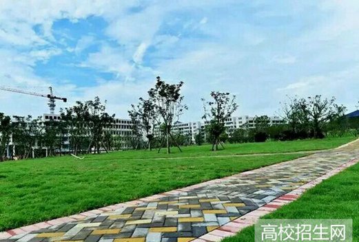 浙江中医药大学滨江学院图片