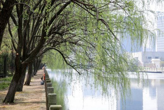 浙江医药高等专科学校图片