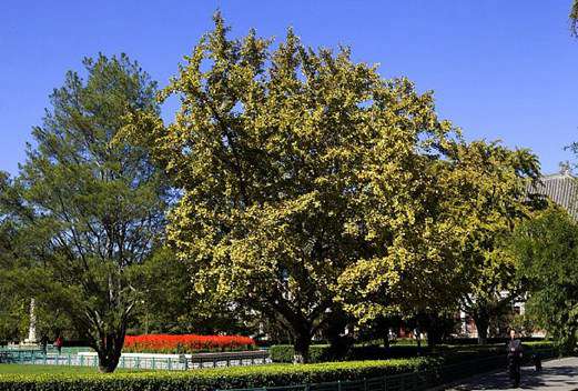 北京大学医学部图片