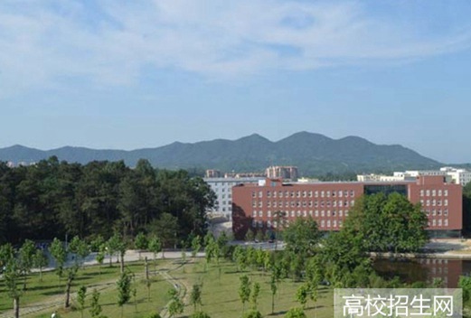 信阳学院图片