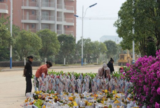 宁夏师范学院图片