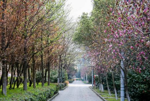 浙江医药高等专科学校图片