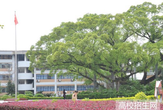 龙岩学院图片