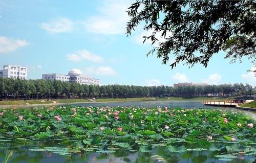 沈阳医学院2020年网站网址