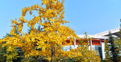 四川大学医学院