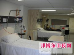 成都2024年卫校有哪些比较好