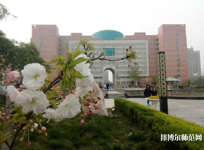 陕西中医药师范大学北校区招生办联系电话