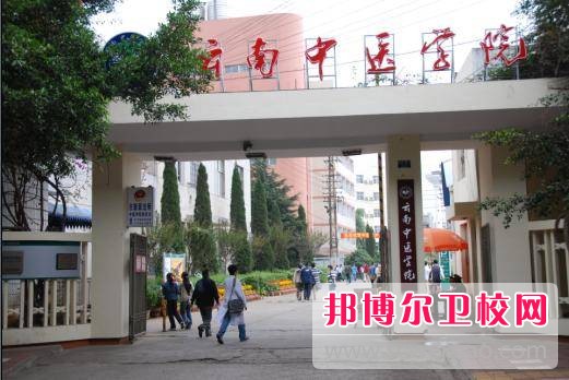 云南中医学院2020年网站网址