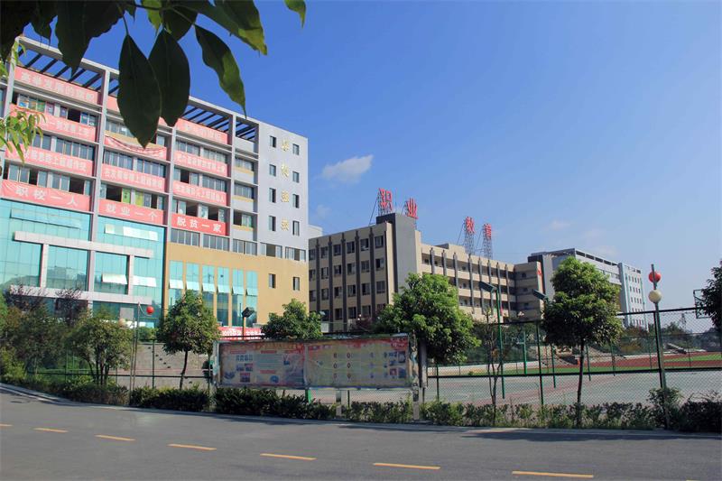 学校侧景