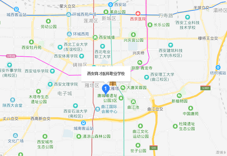 西安育才医科职业学校地址在哪里