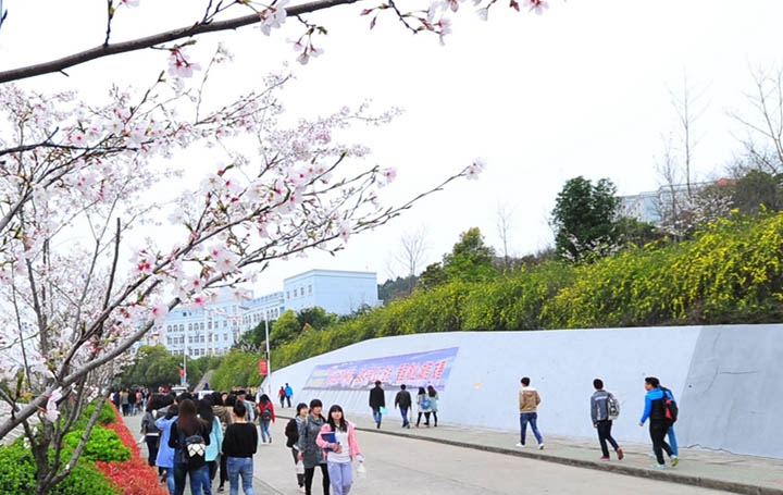  四川有医学检验专业的专科学校