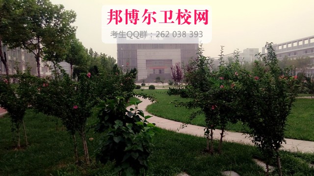 天津医科大临床医学院1