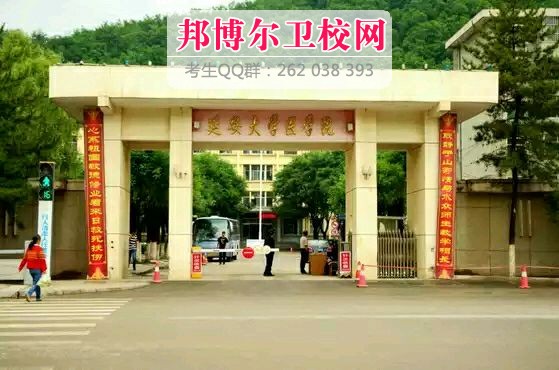 延安大学医学院1