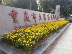 2024重庆市立信职业教育中心介绍和专业介绍'