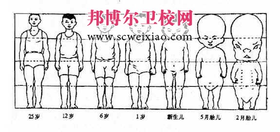 小儿体格生长的常用4个指标