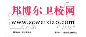 康复护理学定义