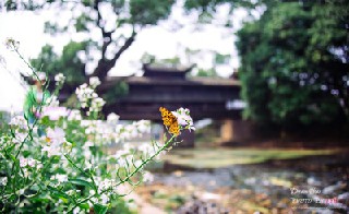 初中生学厨师怎么样?到哪里学好?