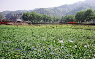 成都厨师学校毕业后有就业保障吗?