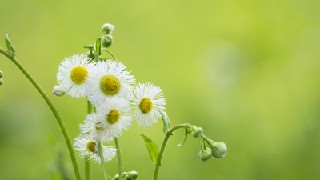 成都厨师学校教学模式