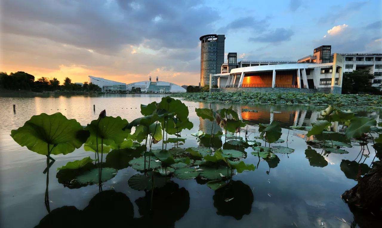 æµæ±å¤§å­¦æ ¡å­