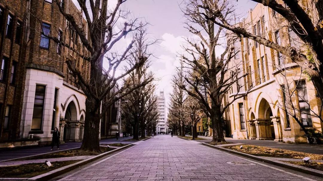 åå¾ä¸äº¬å¤§å­¦è¿è¡åè§,æåä¸äº¬å¤§å­¦æ ¡