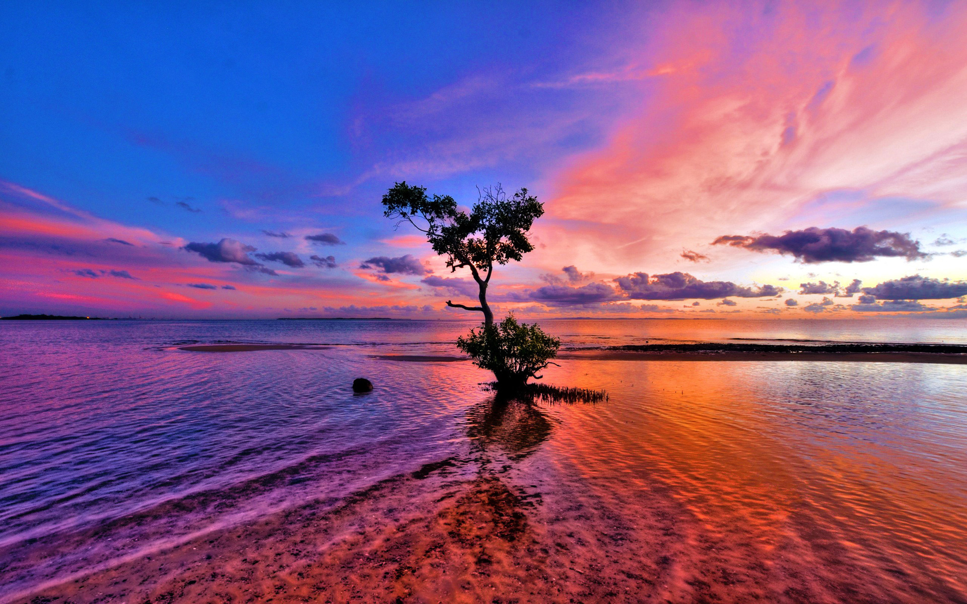 å¯ç¾å¤é³ä¸çç´«è²å¤©ç©º