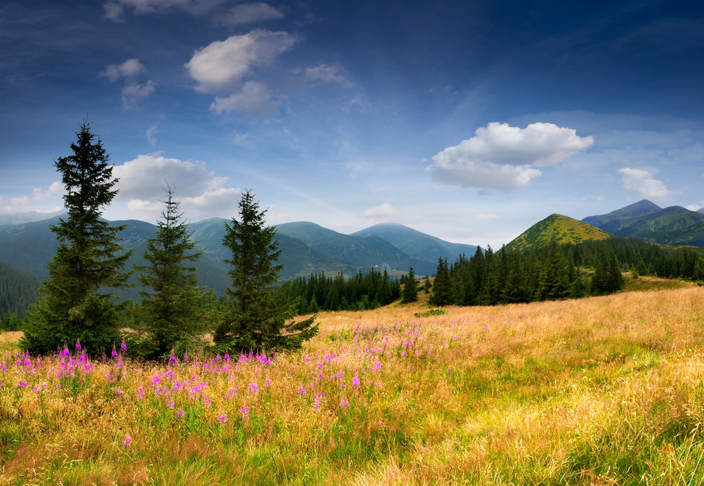 å±±å·é£æ¯å¾ç