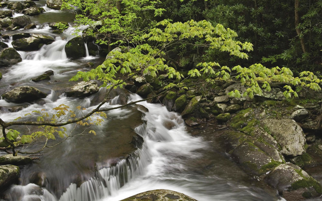 ç°çº³è¥¿å· å¤§çå±±å½å®¶å¬å­å¾çå£çº¸ 47 stream great smoky mountains national park tennessee