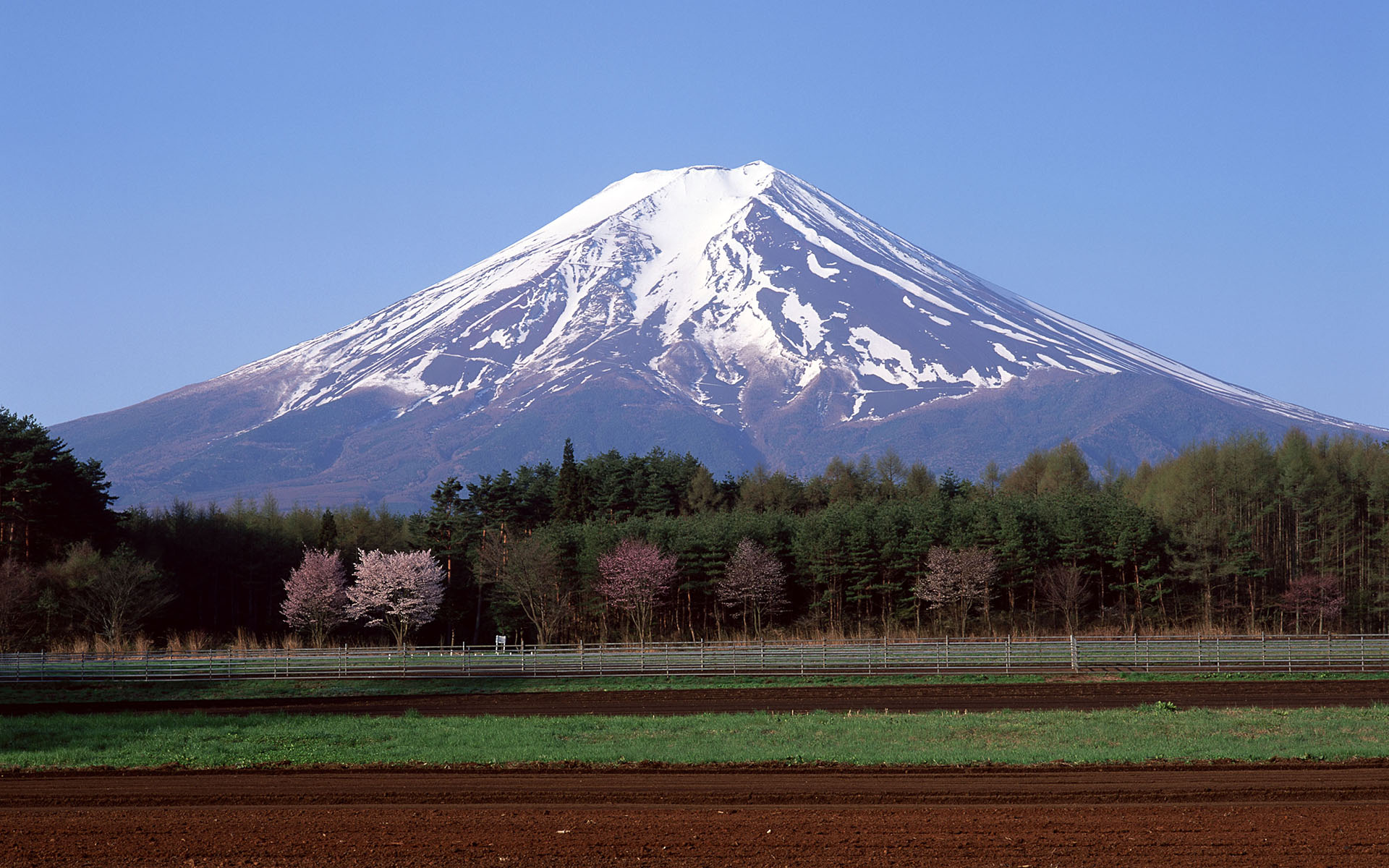 å¯å£«å±±15