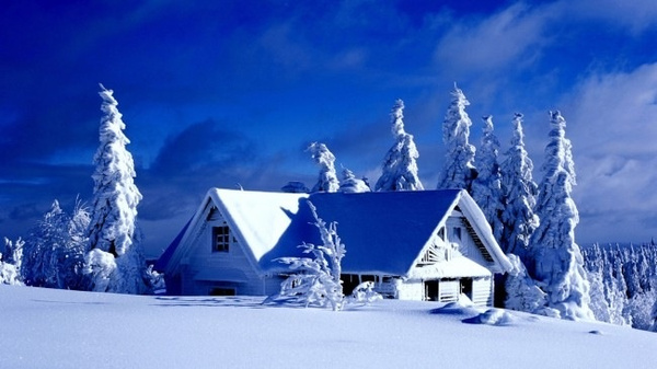 å°å¤©éªå°å¯ç¾æå¢éªæ¯çµèæ¡é¢