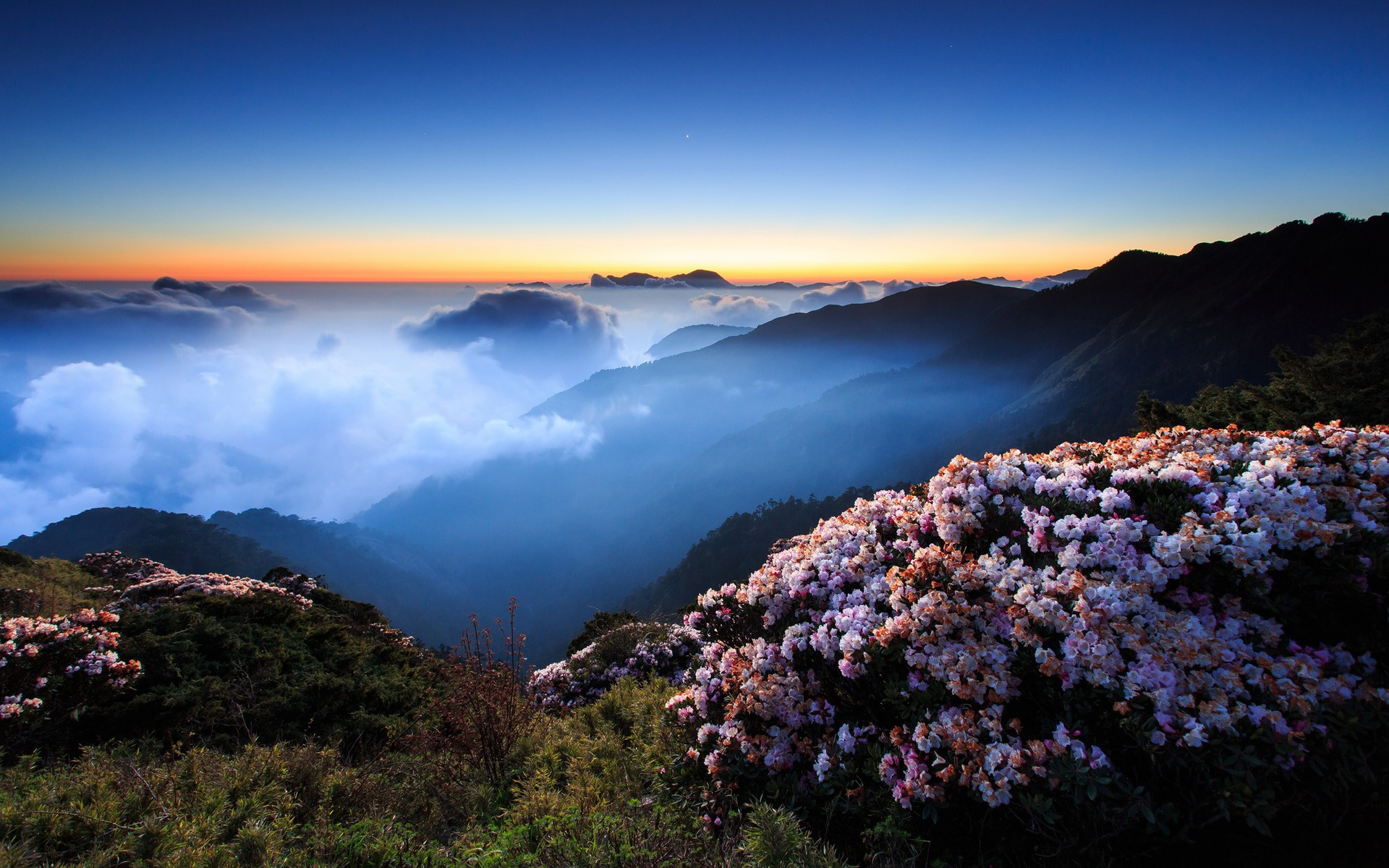 åæ¶§æ éå±±æ¨±è±è°·   ä¸ªæ§èé´å±±   ç¦ä¸°äºå°å±±