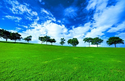 æ¾³æ´²æå°¼é£æ¯æå½±å£çº¸ å£çº¸14,æ¾³æ´²æå°¼é£æ¯æå½±å£çº¸,é£æ¯å£çº¸