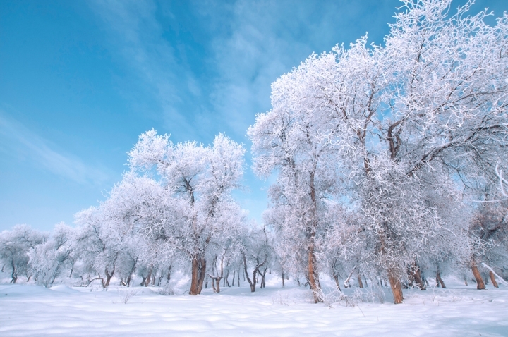 å°éªè¡æ¨æ