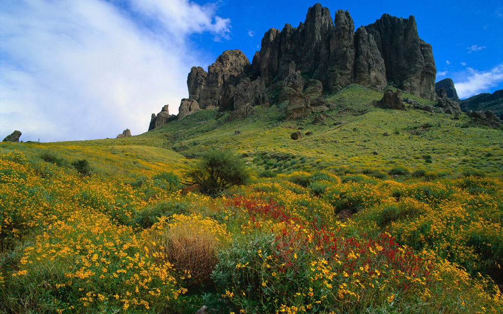 å¾çç´ æ é£æ¯å£çº¸ ç³å³°é²è±èå°é£æ¯