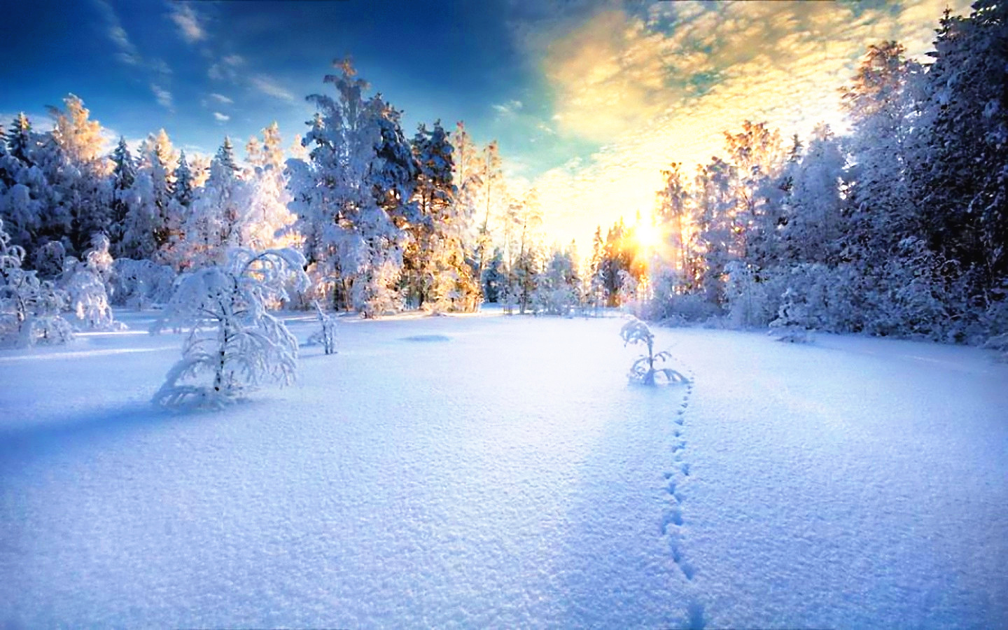 å¯ç¾çéªæ¯å¾ç å¯ç¾çéªæ¯å¾çå¤§å¨