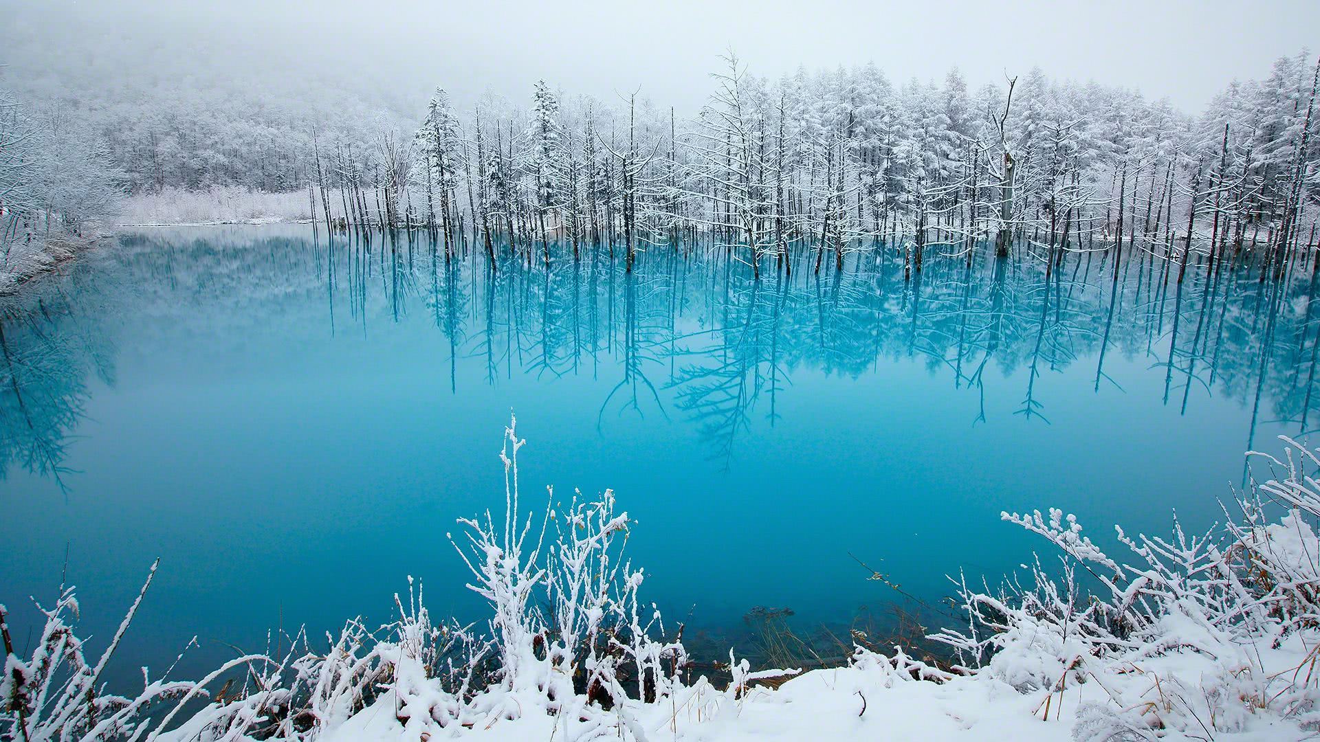 å¬å­£éªæ¯æ¡é¢å£çº¸çµèé£æ¯å£çº¸å¤§å¨ é«æ¸é£æ¯æ¡é¢å£çº¸